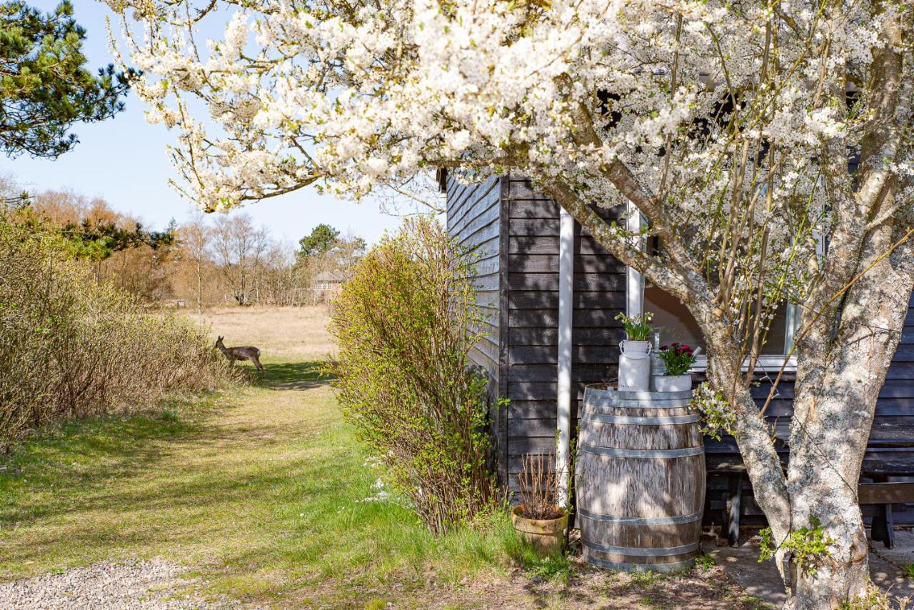 Poppelgaarden Romo B&B Romo Kirkeby Exterior photo