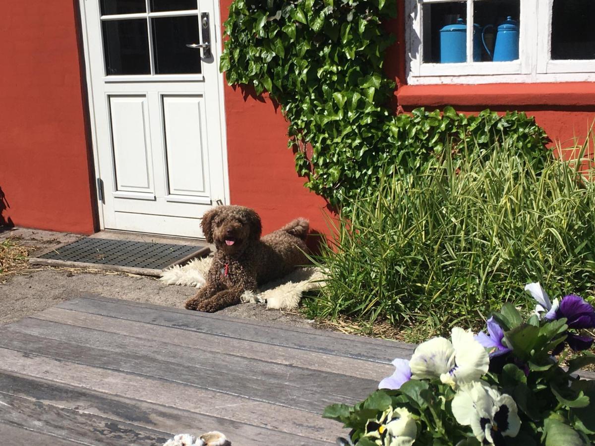 Poppelgaarden Romo B&B Romo Kirkeby Exterior photo