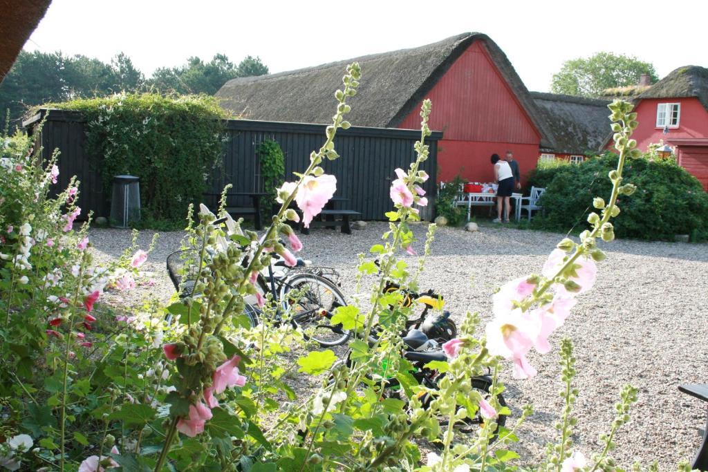 Poppelgaarden Romo B&B Romo Kirkeby Exterior photo